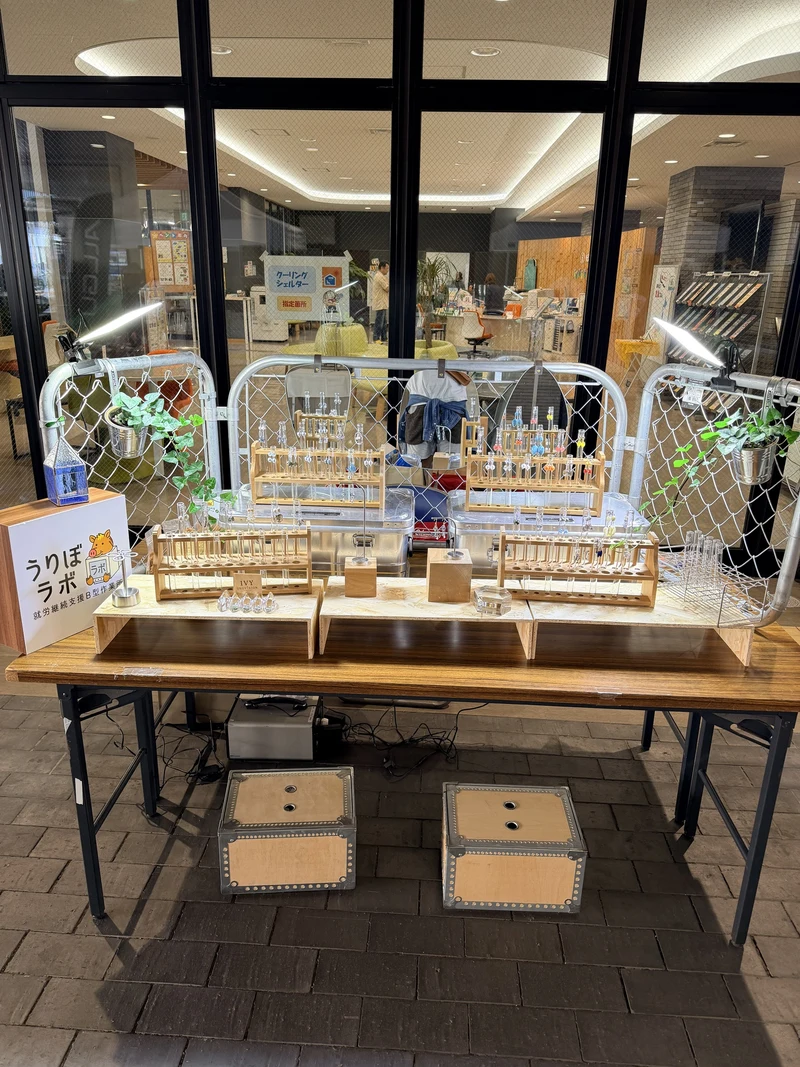 うりぼラボのマルシェ出店ブース